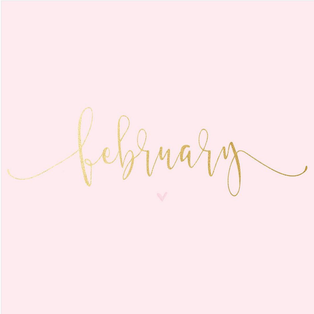 It is February! We can't believe it is already here. We hope your 2017 is off to a great start!
