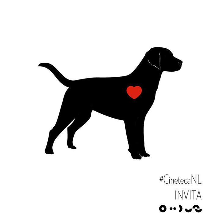 conartenl's tweet photo. ¡CONARTE te invita a la #CintecaNL! Observa la imagen y adivina el título de la película que se presentará en la ci… https://t.co/RYTc3NBvnk