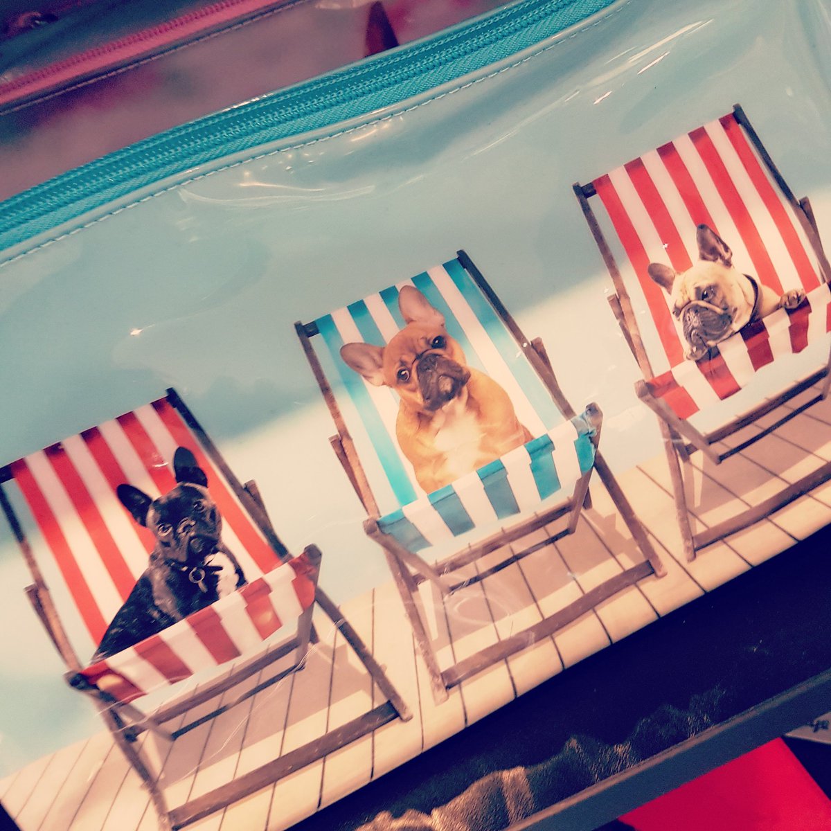 paperdollscork's tweet photo. Go on treat yourself,they're too cute to resist.#paperdollscork #washbag #selfgifting. https://t.co/vG4A9wwPwr