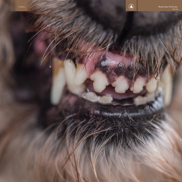 New Tracks: Blanck Mass - Silent Treatment residentadvisor.net/tracks/837577