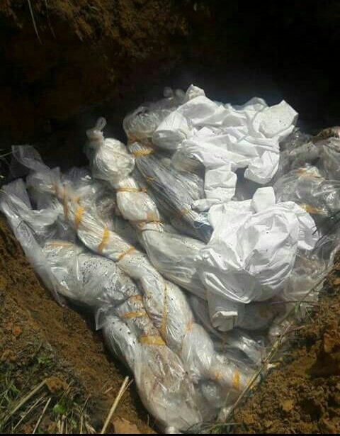 ALDOSITOU's tweet photo. @GabrielMariya
@FedericaMog
@jo_leinen
@ckyenge
@MCVergiat
@MicheleRivasi
@joachimzeller
@marekjurek
Grosse decouverte au#Gabon ken dite vou https://t.co/rmtuCtvzox