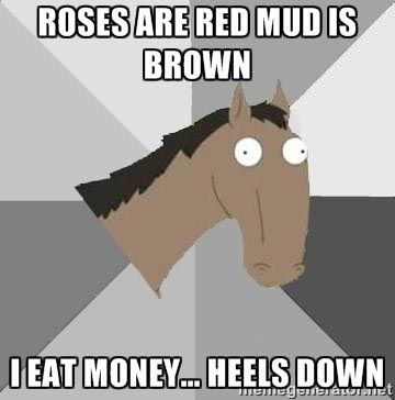 Enchanted by Horses tweet media