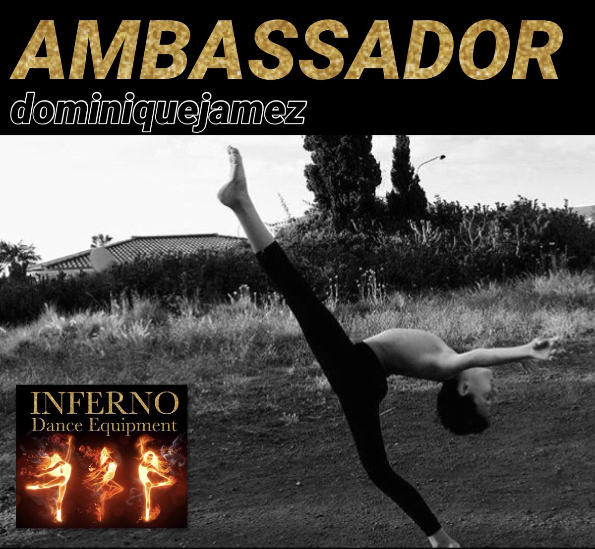 inferno_dance_'s tweet photo. #ambassador #inferno #dance #equipment https://t.co/tY6IbLHj4b