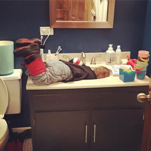 RaiseAnAdult's tweet image. Great POV on why to avoid the word "smart" when we praise our kids. What to do instead? #PraiseTheProcess. ow.ly/TNMT308A204