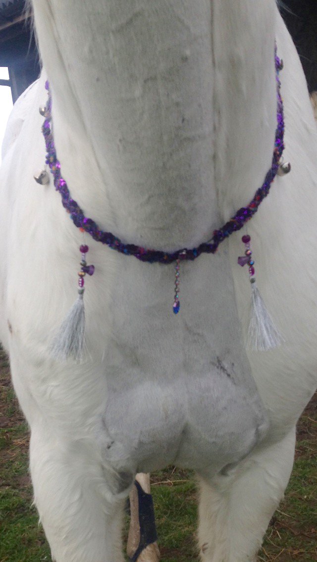 WhiteSteedBeads's tweet photo. White Steed Rhythm Beads, beautiful Babouska is modelling a gorgeous Rhythm bead sash, also featured new style mane &amp; tail feathered Beads. https://t.co/lChN3AyEPI