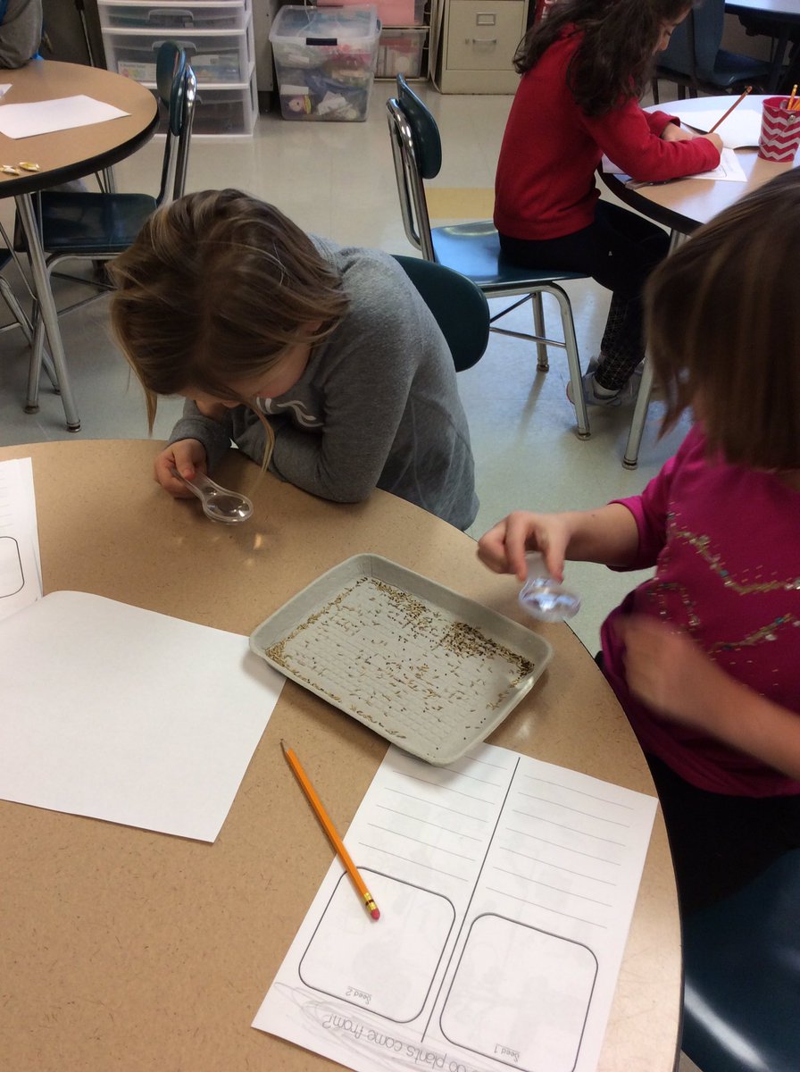 VlahakisClass's tweet photo. We are carefully observing seeds! #cherokeescience https://t.co/ce3waSfypv