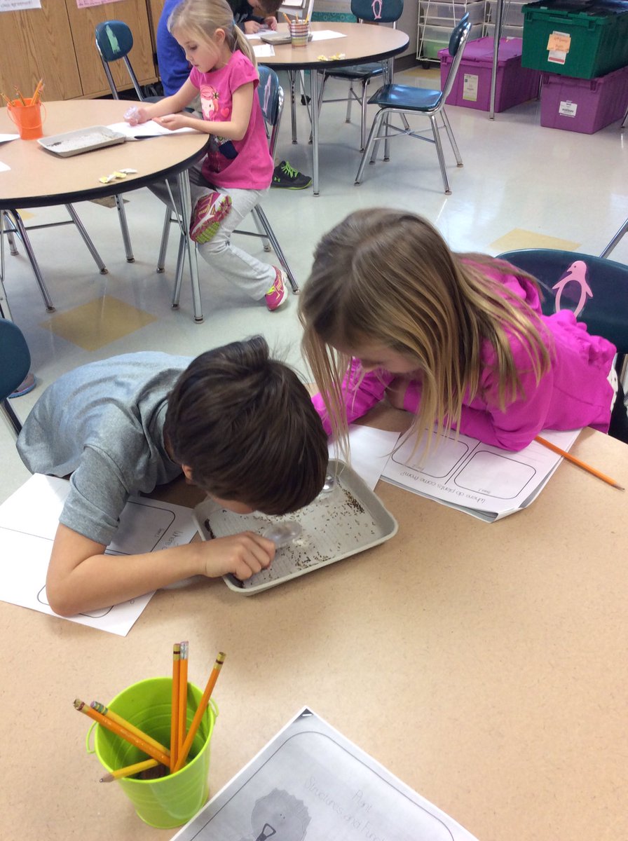 VlahakisClass's tweet photo. We are carefully observing seeds! #cherokeescience https://t.co/ce3waSfypv