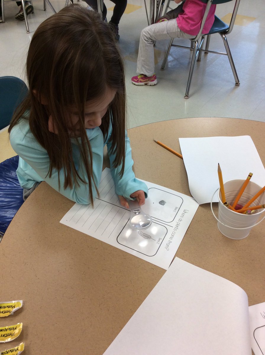 VlahakisClass's tweet photo. We are carefully observing seeds! #cherokeescience https://t.co/ce3waSfypv