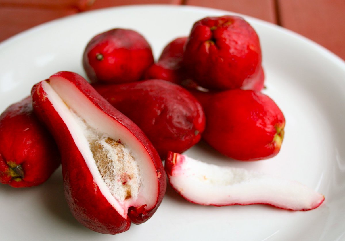 ExpMamoni's tweet photo. #WhatIsIt: This #fruit that is dark red in color with flesh that is white &amp; surrounds a large seed. Also thrives in humid climates. https://t.co/0jJCjOEmy9