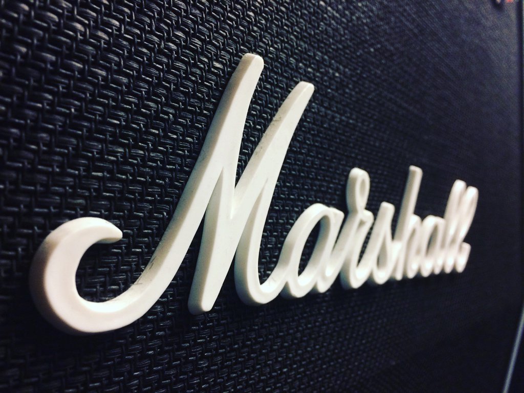 brain-on-a-stick tweet media