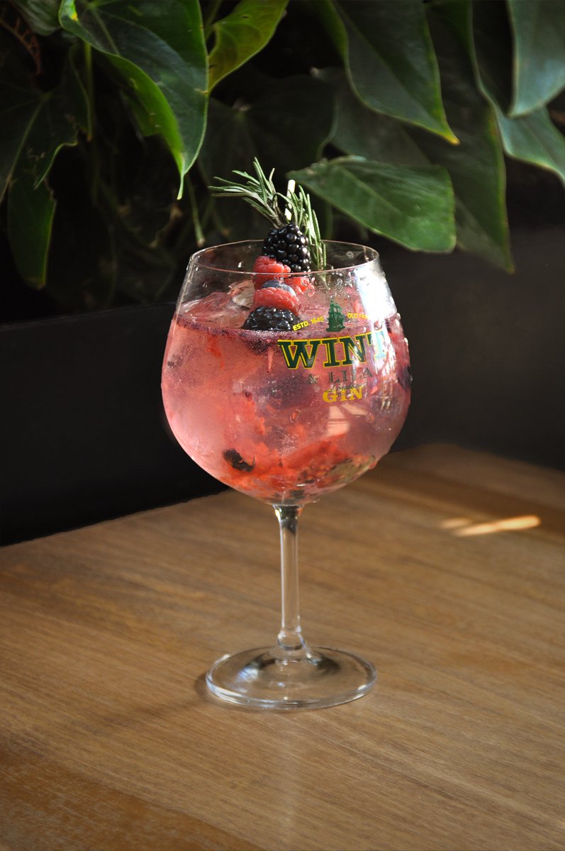 Fiid_Mx's tweet photo. #Gintonic en @PalmaresAzotea 👐👌 https://t.co/I27dqvbdzD