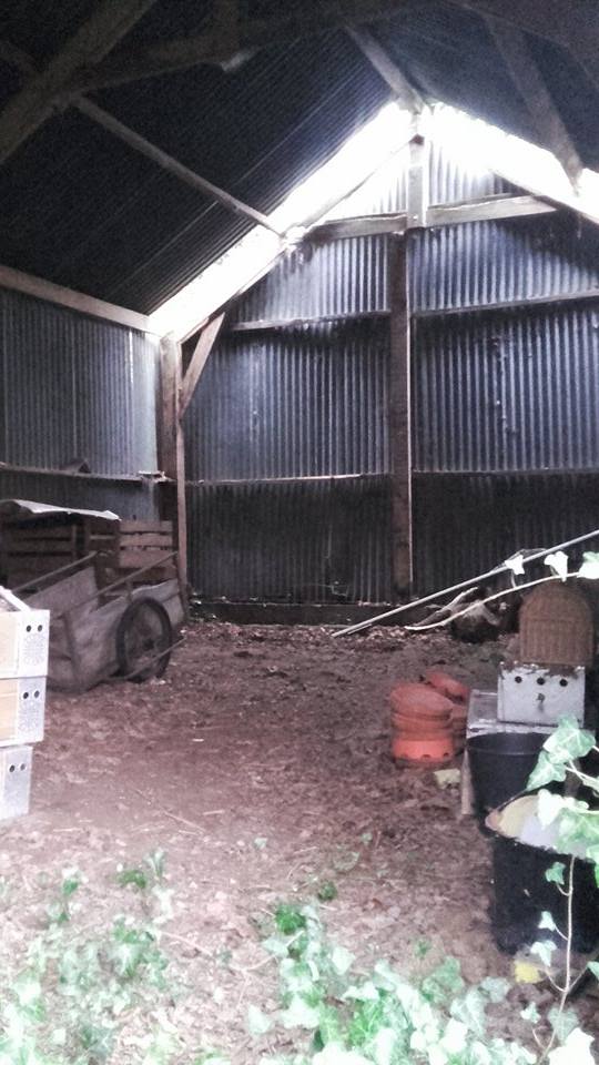 Salut à tous! Aujourd'hui on explore un ancien pigeonnier breton abandonné il y a quelques années 2/2 #urbex #rurex #Bretagne