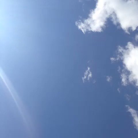 RumbleTwins's tweet photo. Watch Rudy Mancuso's Vine "#throwcatch"
https://t.co/drBhS9iVSC https://t.co/XIaeLLq8ka