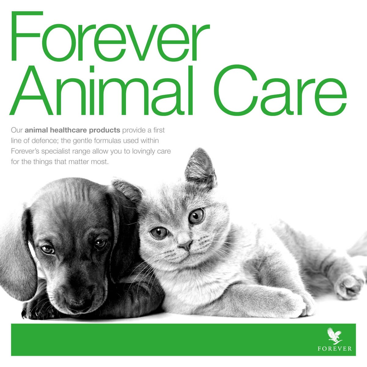 That special someone in your life deserves the very best care. link.flp.social/KZ0uNE