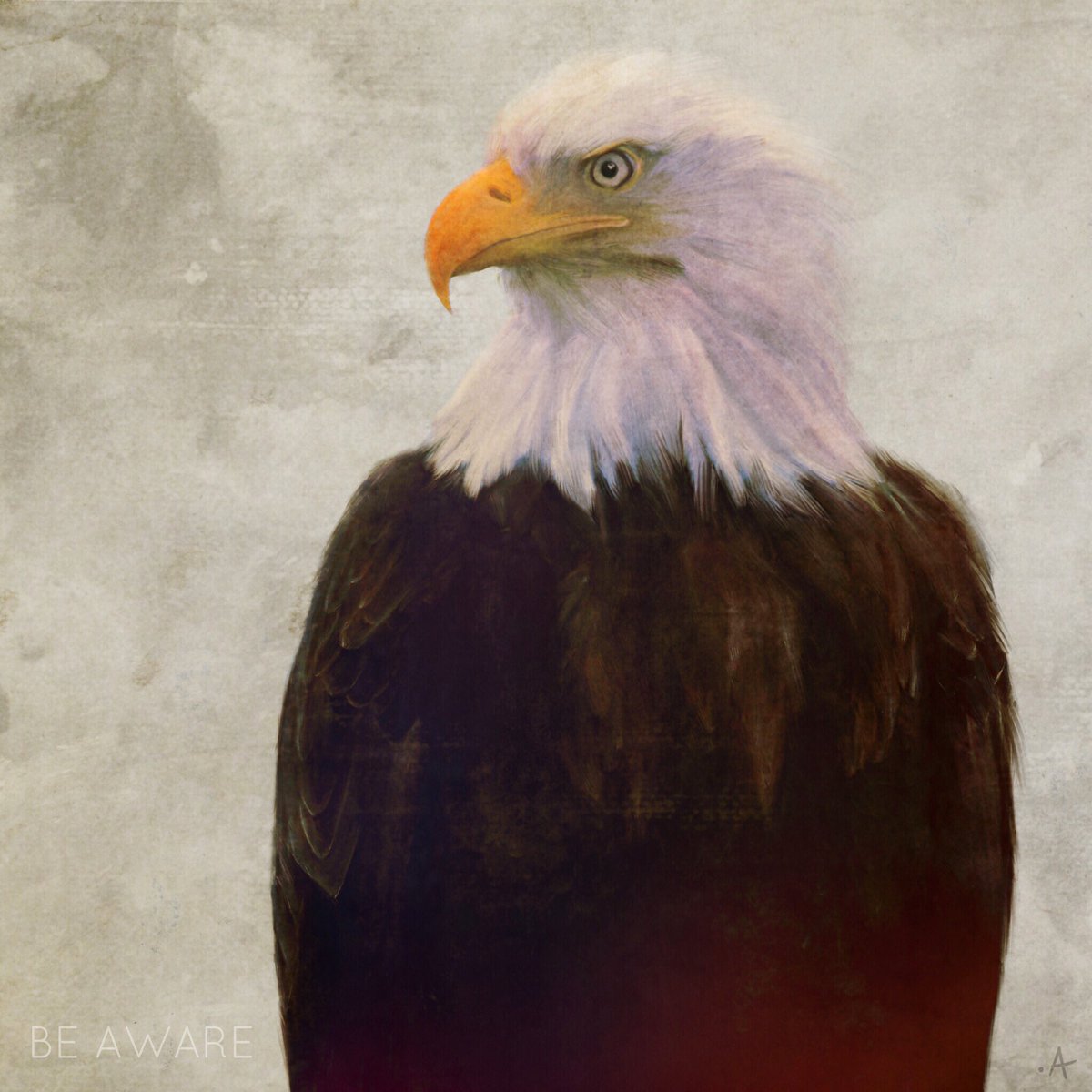 aaronlemay's tweet photo. #BirdNotes: Be Aware https://t.co/5225iyaPtc