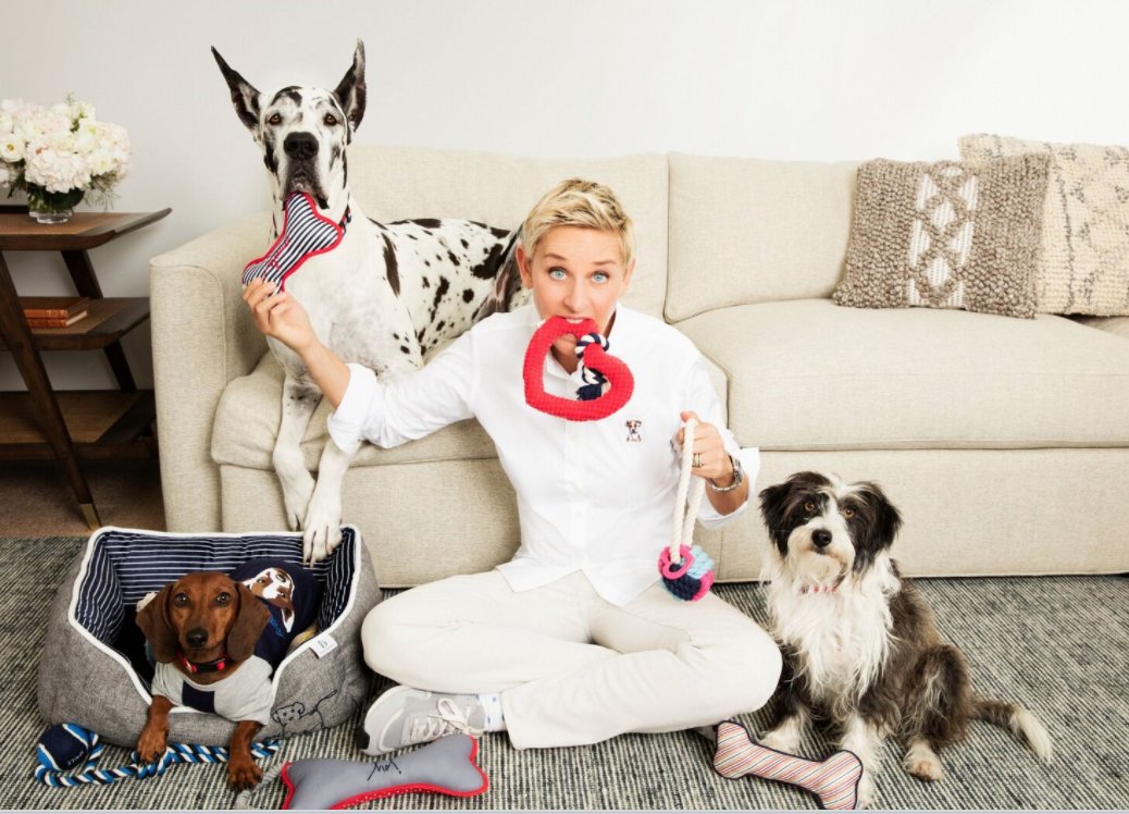 Ellen DeGeneres on Twitter: "My pet toys are at @PetSmart
