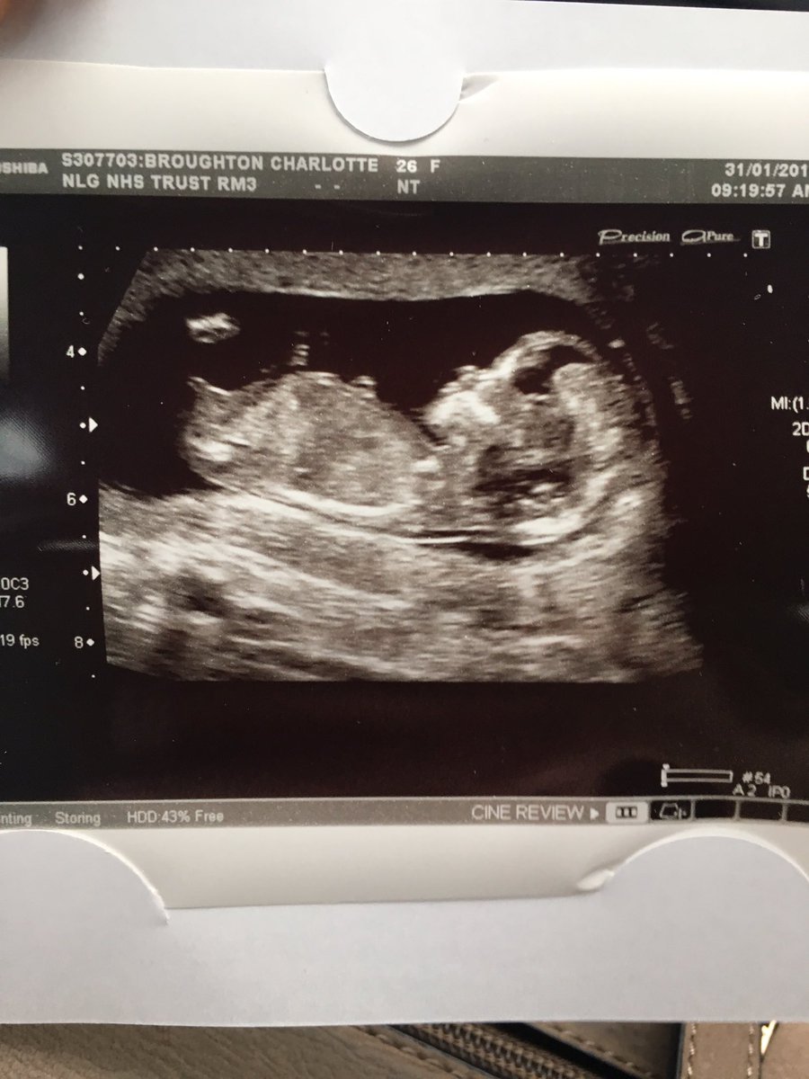 C h a r l o t t e tweet media