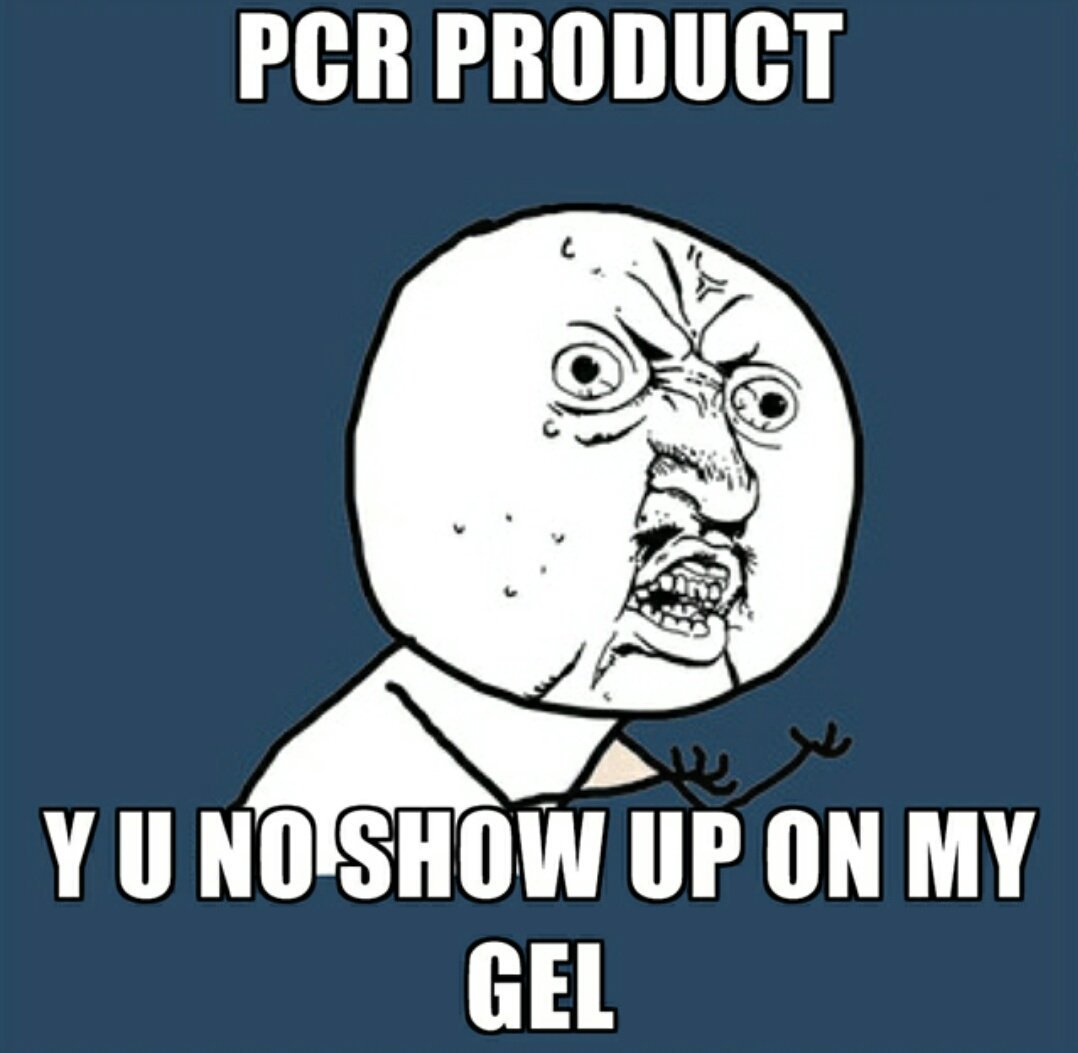 1192Afaith's tweet image. Literally me right now #pcrproblems