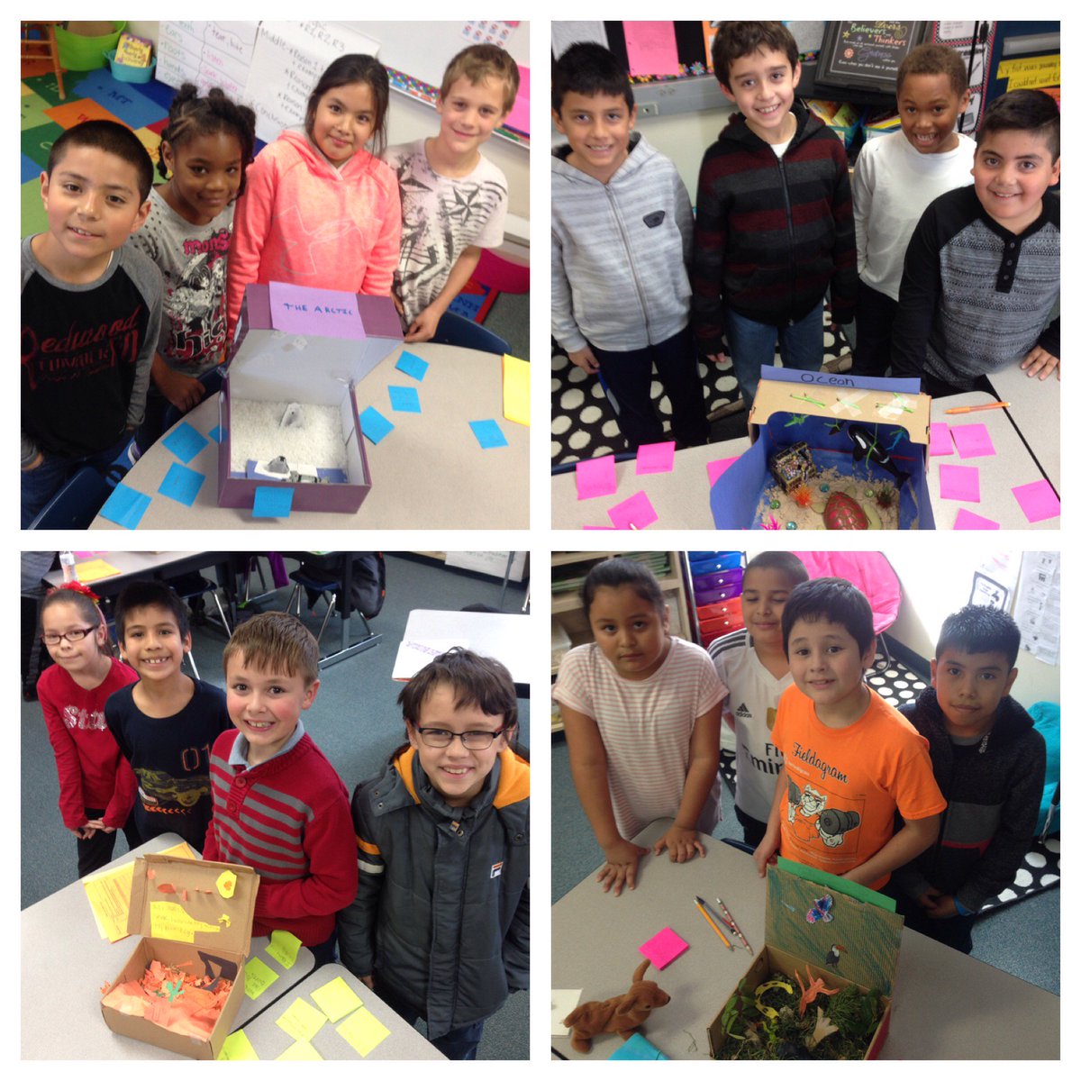 erinxhughes's tweet photo. They had so much fun designing and constructing their ecosystem exhibits! #barronlearns #science https://t.co/7BOpQPs7CW