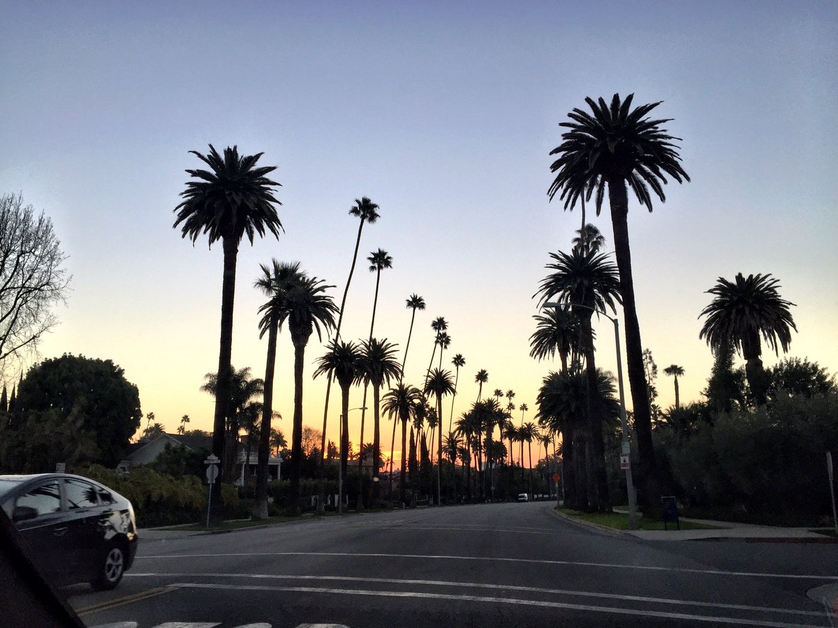 Mark van Eeuwen tweet media