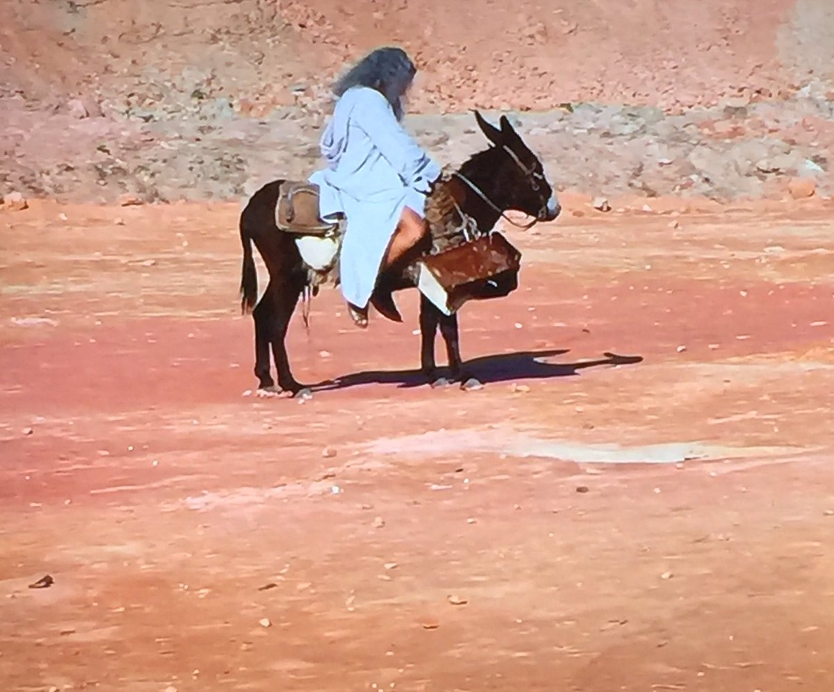 lapekeniacool's tweet photo. La imagen de Balam arriba del burro es lo mejor q vi en toda la novela 😜😂#10Mandamientos https://t.co/8e1u9HwMal