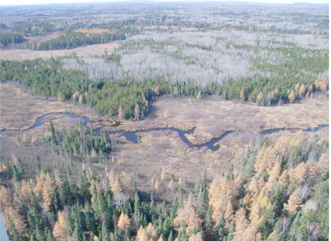WaterLegacy's tweet photo. WaterLegacy Launches Lawsuit in Minnesota US District Court to Block PolyMet Land Exchange - Read the Press Release: https://t.co/EEvmIcOxue https://t.co/jTPQZJdgOK