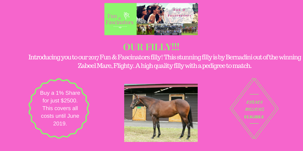 FunFascinators's tweet image. We bought the filly we want! Making racing affordable and accessible to all woman!