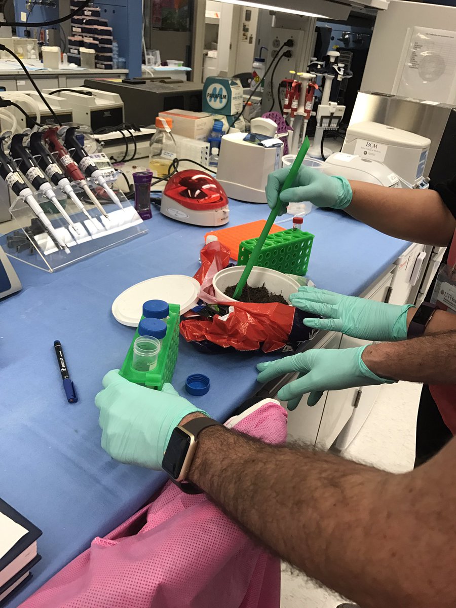 Rojelio's tweet photo. Testing our new soil extraction methods for human parasites. @ToxocaraProject https://t.co/RZ6O5fcwFK