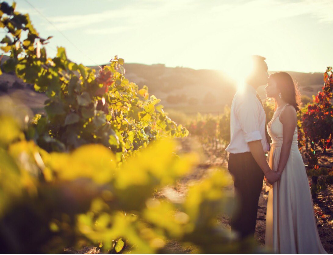 Come stay with us for 1 to 3 days February 13, 14 or 15 and receive 14% off! Includes wine and rose petals in your room. Promo: VDAY