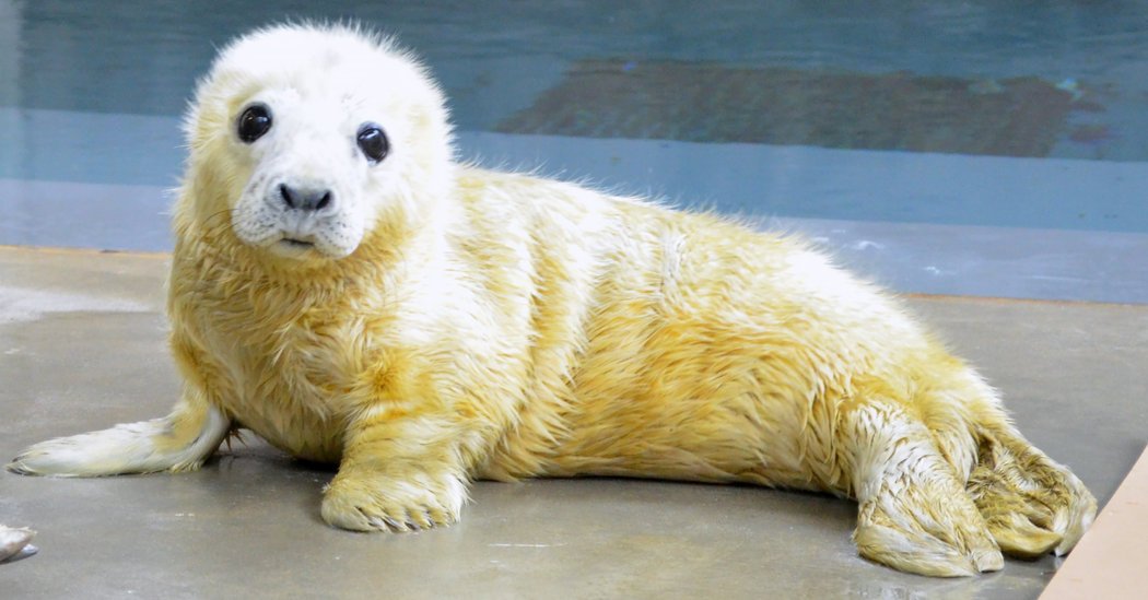 Instacustomsofficial tweet media