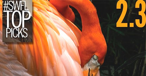 SWFL - What To Do, Where To Go fortmyers.floridaweekly.com/news/2017-02-0… #FortMyers #NaplesFl #swfl #Florida