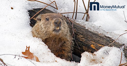 moneymutual's tweet photo. Happy #GroundhogDay! What do you think of #PunxsutawneyPhil's prediction? https://t.co/VVkmYfvZXK