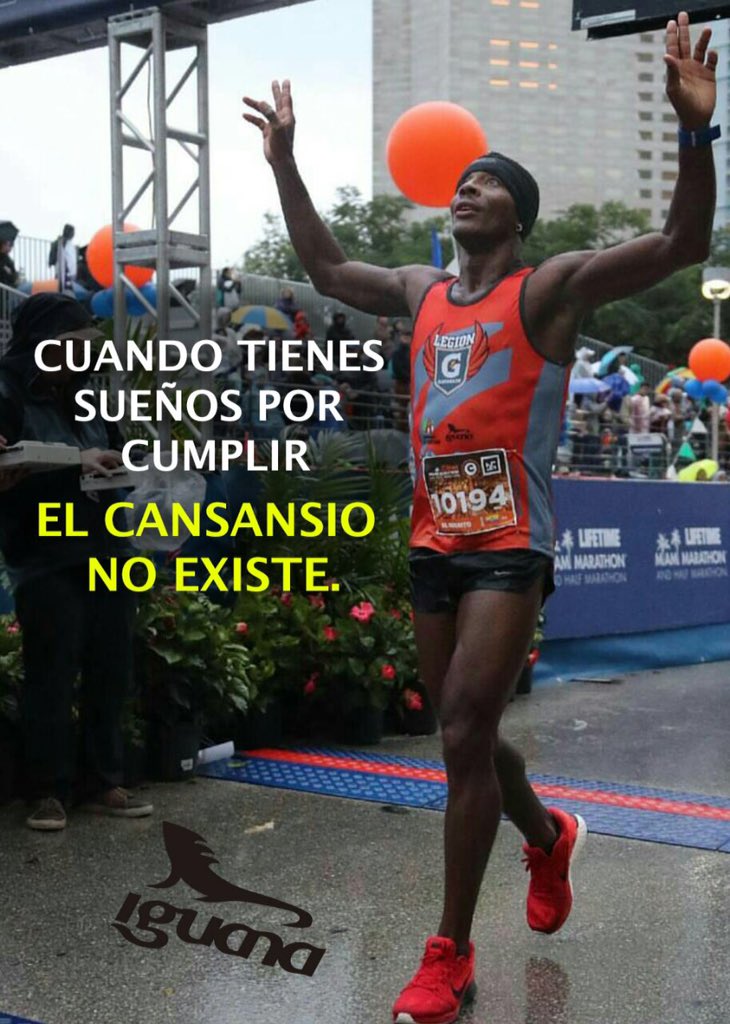 Iguanapromo tweet media