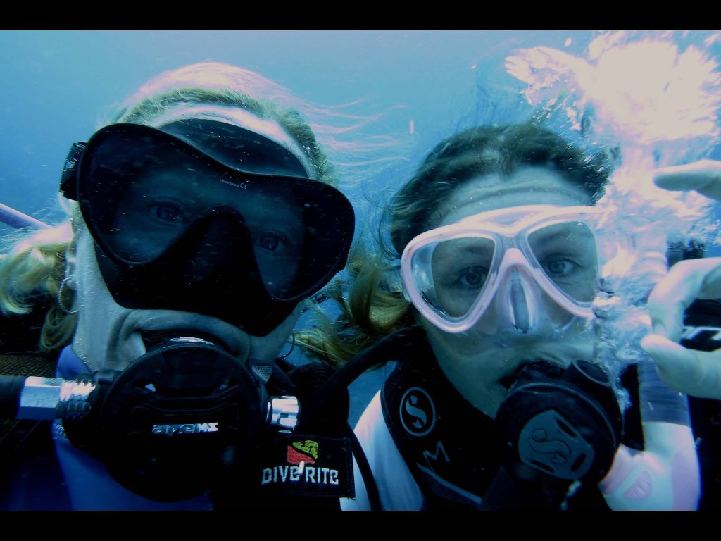 emmaneal2's tweet photo. Its behind you!! Shark diving with the other Essex bird @bryony_west #fijidiving https://t.co/g3K56aDIiC