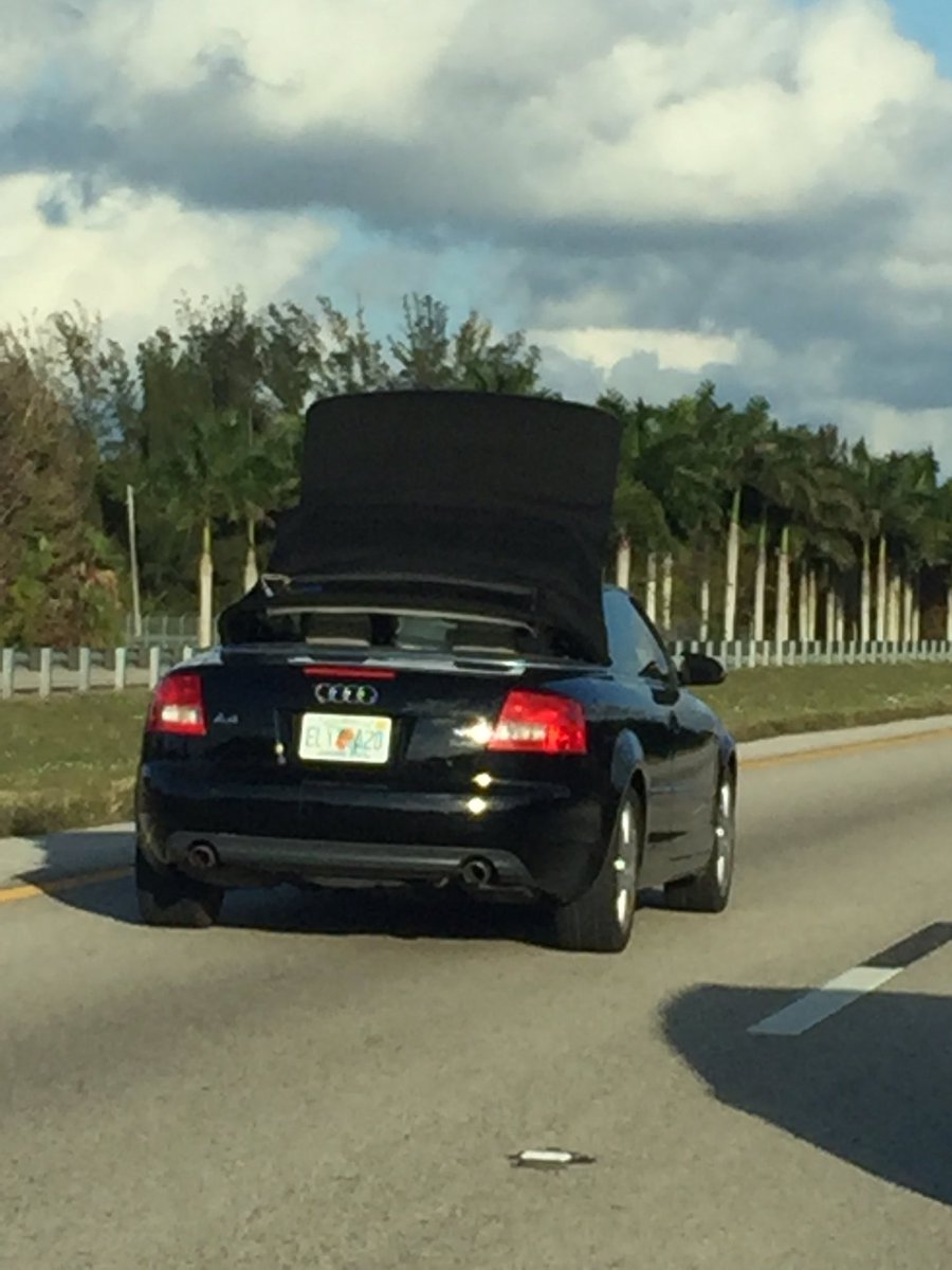 TheCrappinLab's tweet photo. Only in Miami #unreal #ItsNotaParachute https://t.co/Mttj9x72cV