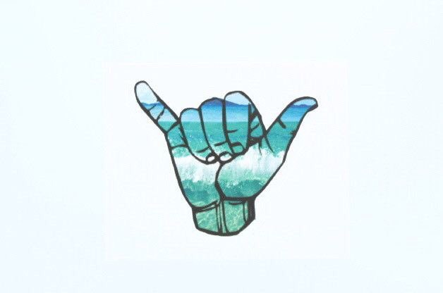 NeColle's tweet image. ❤