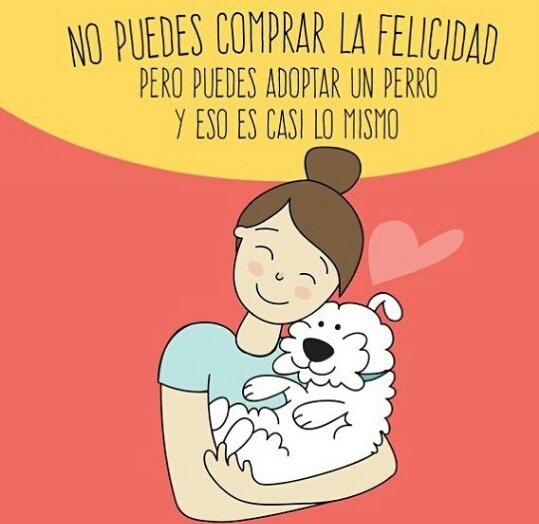 FunHogarAlicia's tweet photo. Feliz tarde!!!  #ADOPTA https://t.co/gO3HZpP9lX