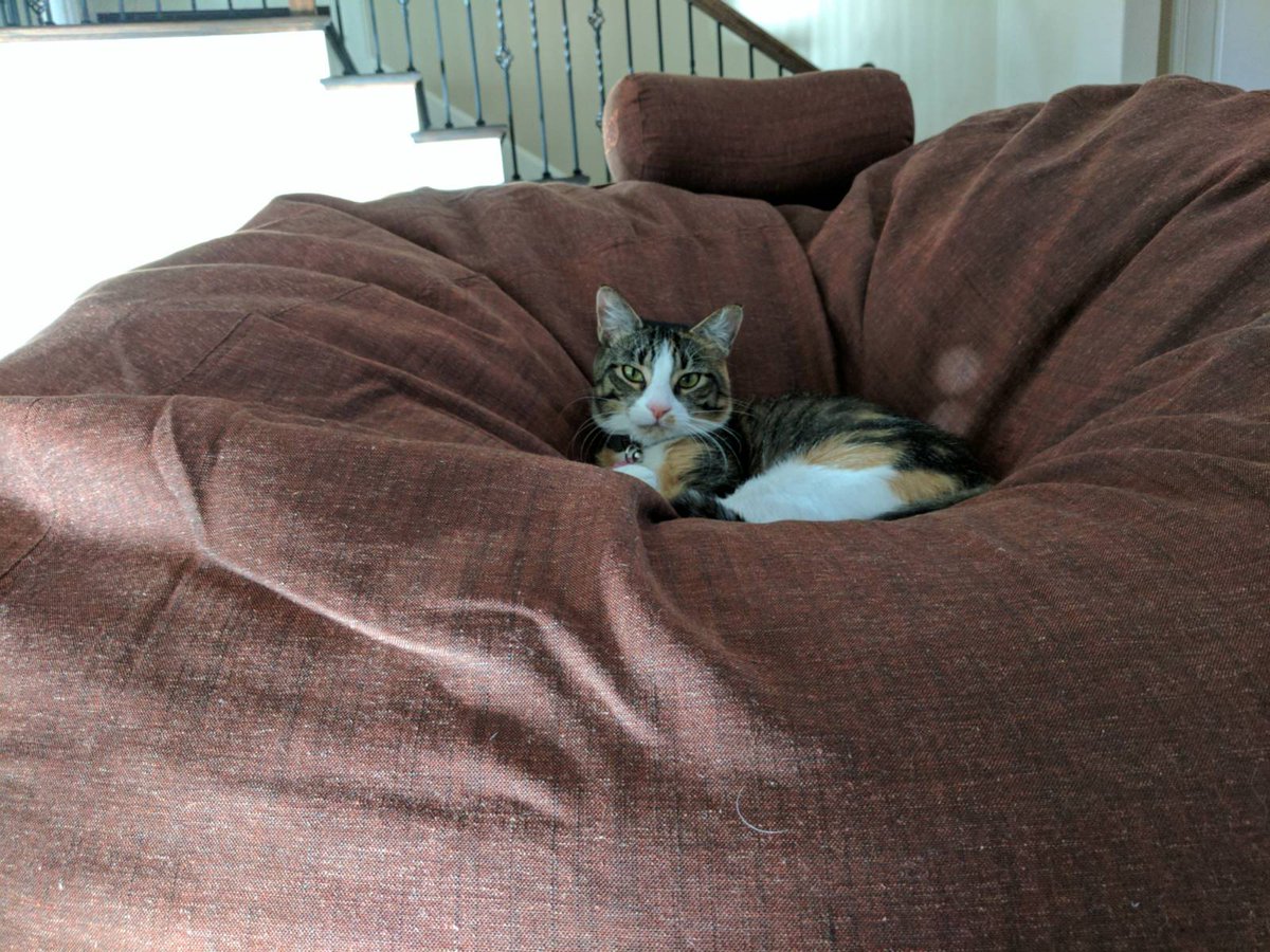 Marlin Rinehart tweet media