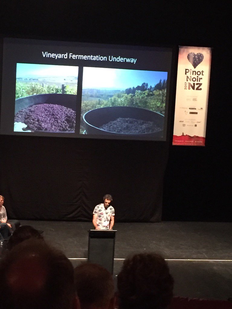 Fermenting Pinot Noir in the vineyard it was grown in - Canterbury. Fascinating!