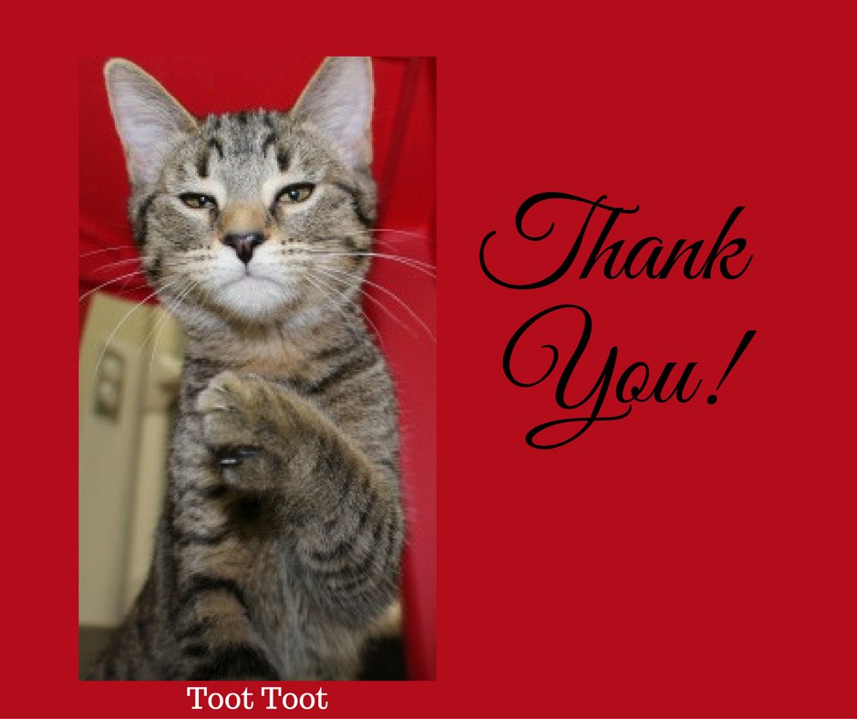 The #ThankYou is so important! Thanks <a href="/GailPerrync/">Gail Perry</a> for this great article:
gailperry.com/how-to-craft-a…
#FACF #DonorsRock #MakeADifference