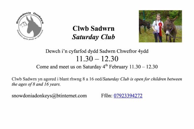 Know anyone aged 8-16 who would like to join us this Saturday 4th Feb to see what we do? #saturdayclub #snowdonia #donkeys