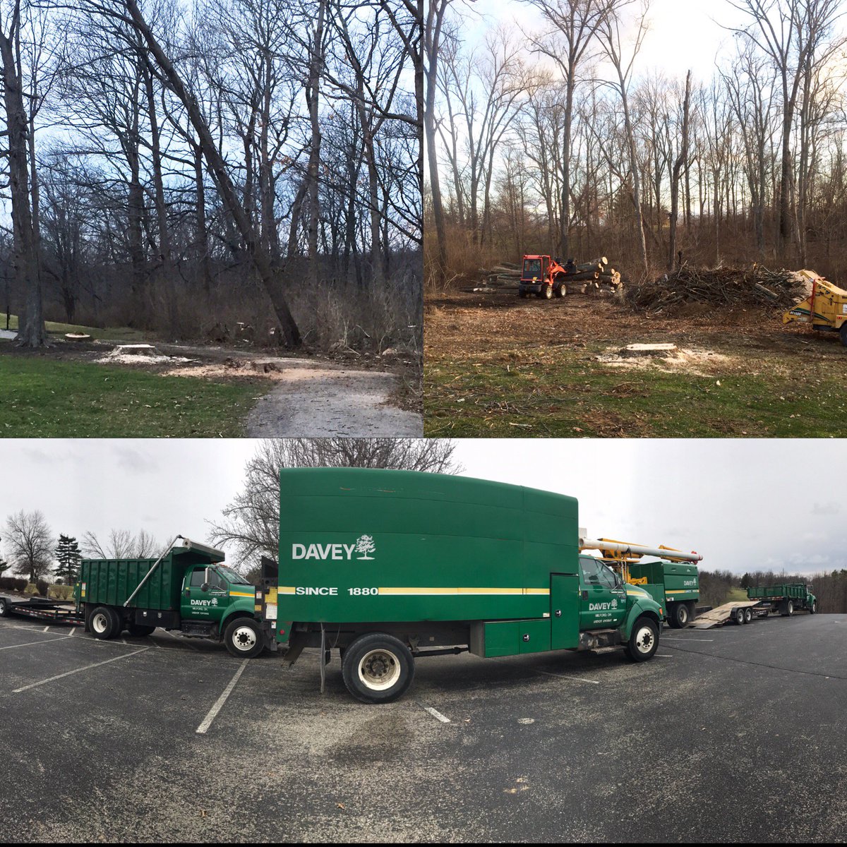 The removal of 400+ dead trees is underway! We couldn't be more excited for the spring season!