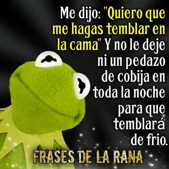 Frases De La Rana (@FrasesDeLaRana) / Twitter