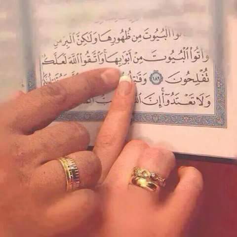 نور الهدى (@ynooora6vg) on Twitter photo 