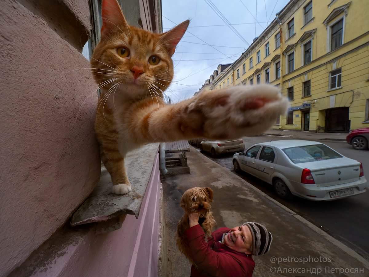 Александр Петросян фотограф