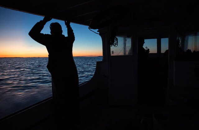 NatlAquarium's tweet photo. GREAT NEWS! The overall health of the Chesapeake Bay is better than it has been in decades! Read more here>>https://t.co/qF7PIE7QzR https://t.co/jn1B95pbKh