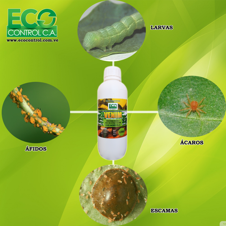 ecocontrolca's tweet photo. #Venim, nuestra solución alternativa basada en extracto de #neem para la agricultura. #Ecocontrolca https://t.co/M9Rsqyx2eV