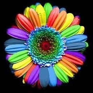KeepTalkingMH's tweet photo. #MakeFacebookFunAgain https://t.co/G2aBCejpy3