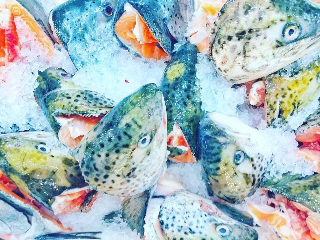 H E A D S // Try using fish heads in a soup, curry, or crispy roasted with a coldie! #Nose… ift.tt/2k0lQEK