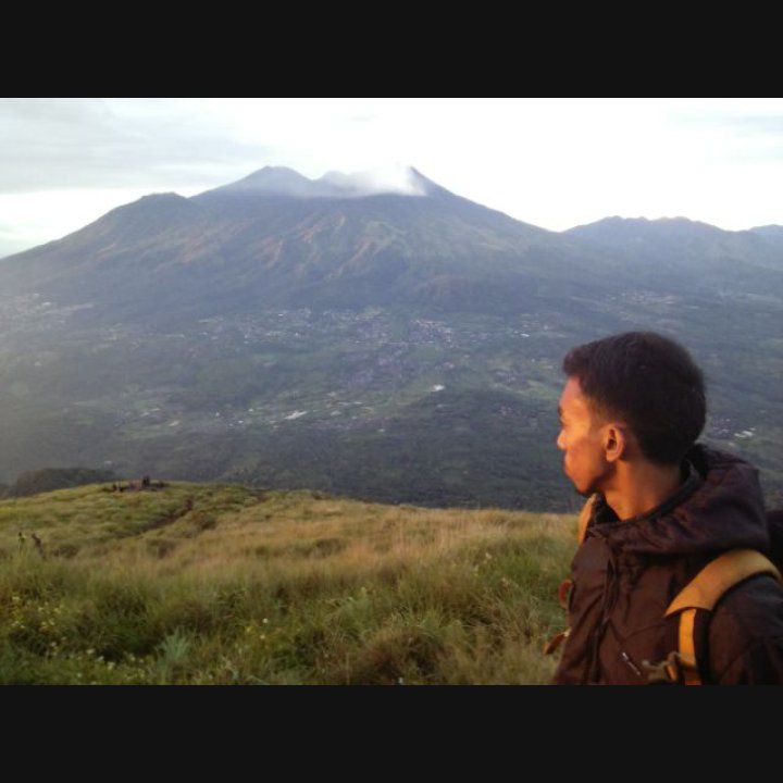 sulaiman tweet media